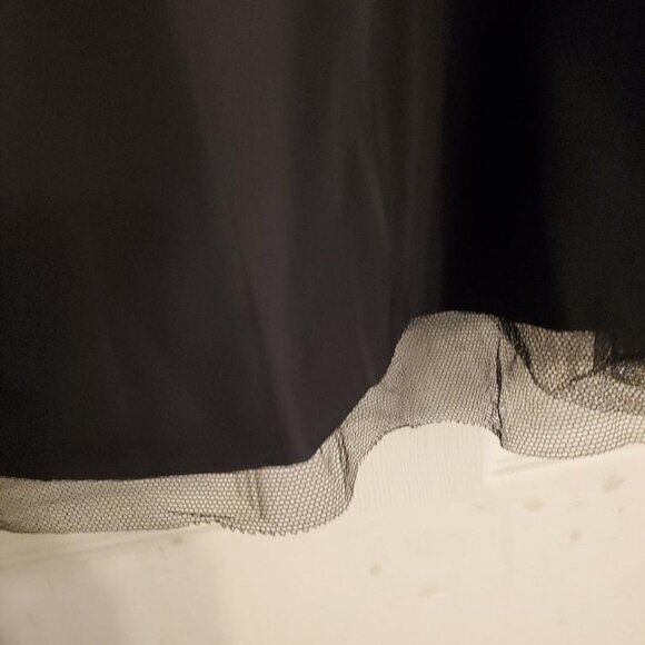 Black Skirt- The Limited - Picture 2 of 3